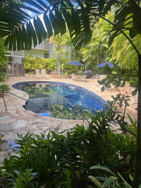 A pool surrounded by green plants.